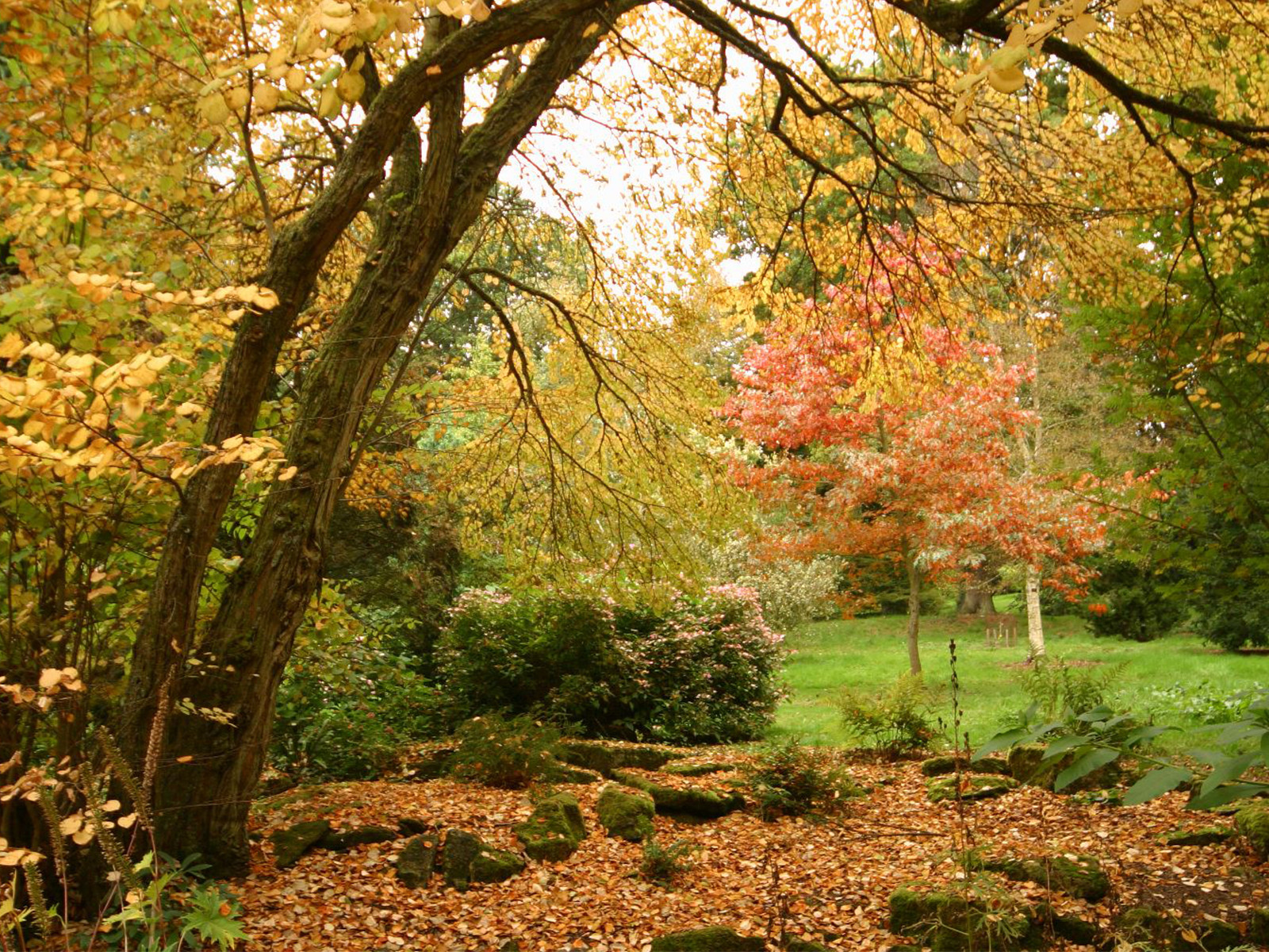 Batsford Arboretum isn't far from Evenlode Grounds Farm