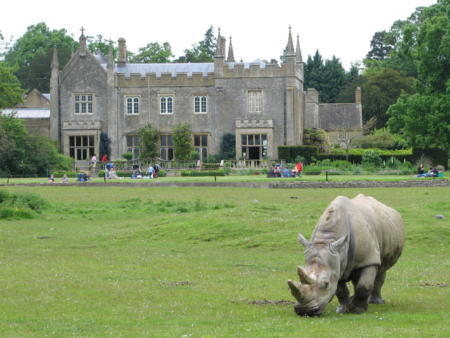 Visit Cotswold Wildlife Park from Evenlode Grounds Farm