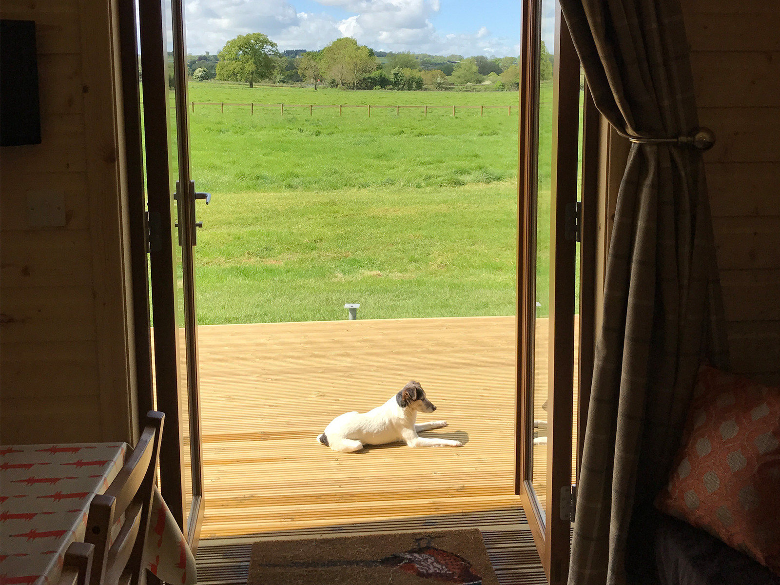Dogs are welcome to stay in our luxury glamping pods at Evenlode Grounds Farm