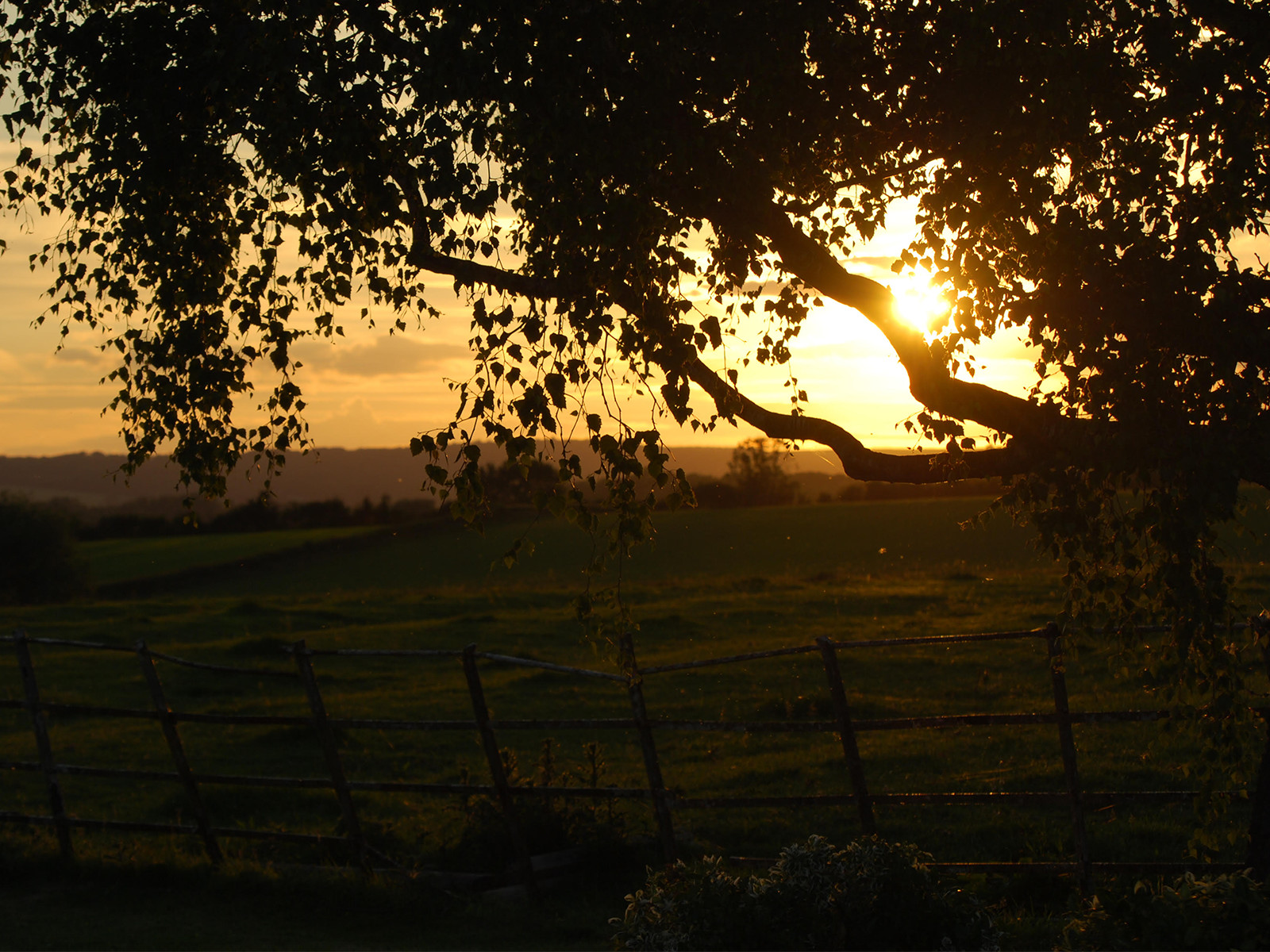 Enjoy the sunset over the farm